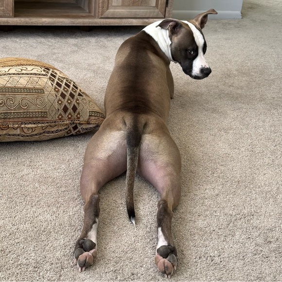 Meet your Posher, Jody - Picture 3 of 4